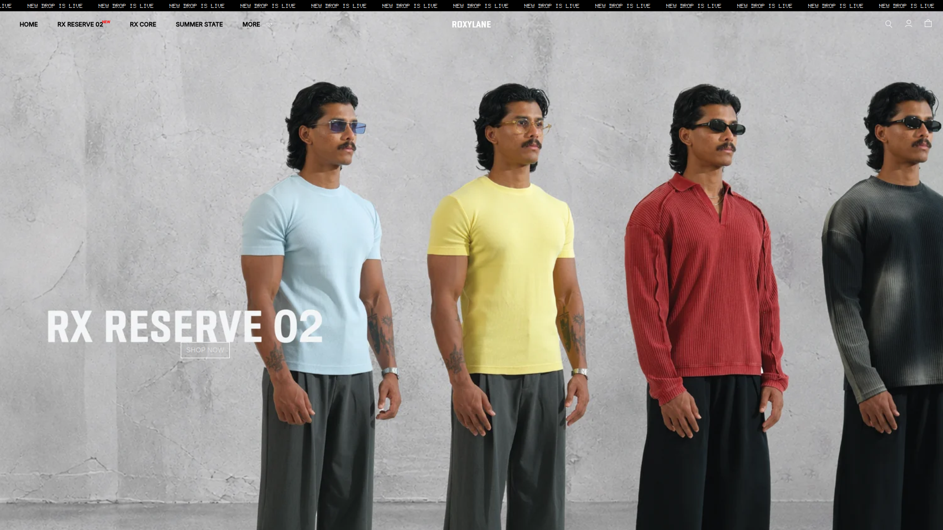 Roxylane ecommerce website homepage